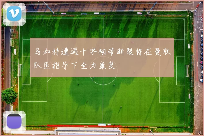 乌加特遭遇十字韧带断裂将在曼联队医指导下全力康复